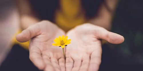 Pathways to Presence: Weekly Mindfulness Group