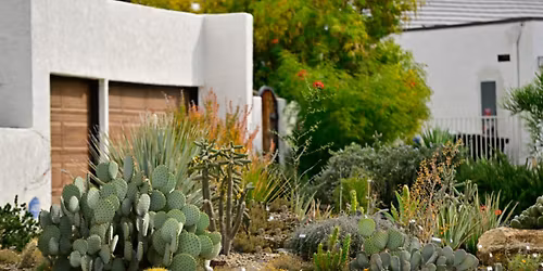 18th Annual Desert Garden Community Day