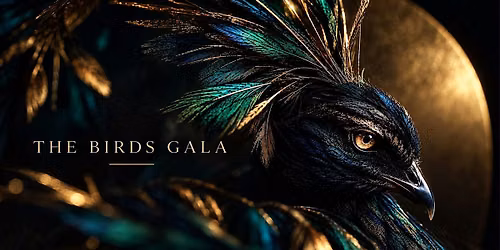 The Birds Gala - Boston