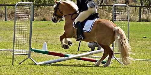 NDHD Members Combined Training Day 