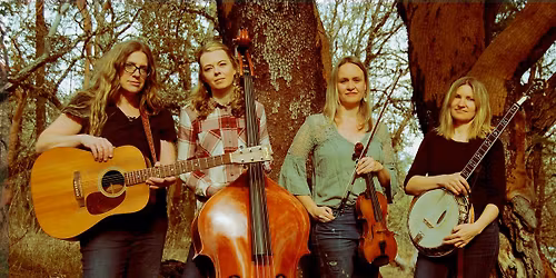 The Rosa Lees at Skout Taphouse