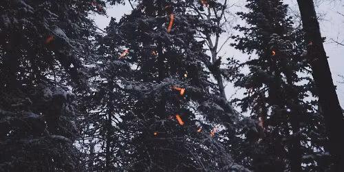 Kora (CA) in Montr\u00e9al