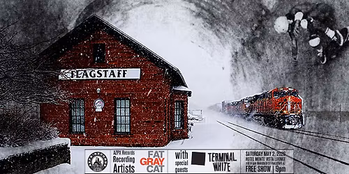 Fat Gray Cat & Terminal White 