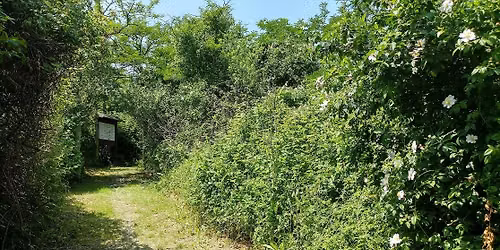A spasso per la riserva