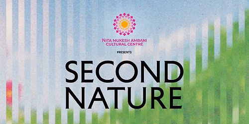 Second Nature by Superblue at NMACC