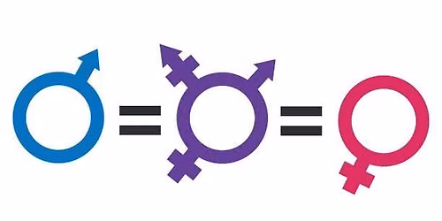  Transgender 101: Fact vs Fiction