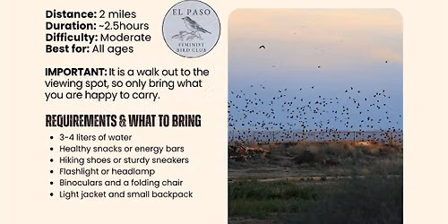 Coming to Roost: Crow Watching at Rio Bosque