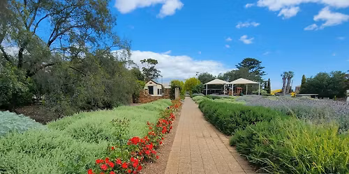 Eudunda Centenary Gardens Working Bee