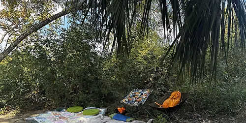 Nature Rx: Forest Bathing at Confluence Park