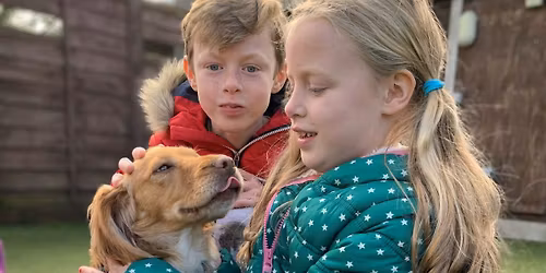 Animal Days Experience Sessions