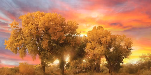 What is Spiritual Direction? (FREE virtual informational session) 