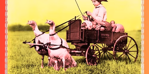 Black Friday Bluegrass with The Cork \u2018n Bottle String Band