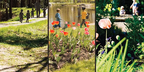 Play Days at Pineland