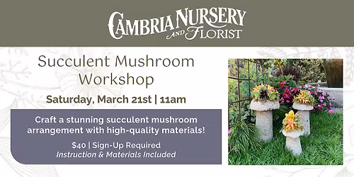 Succulent Mushroom Workshop
