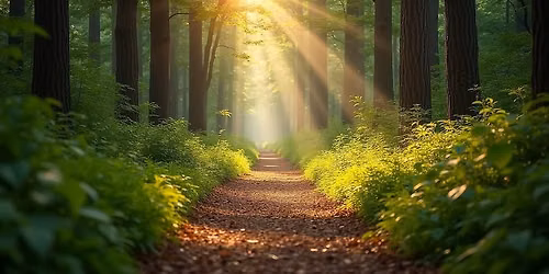 Usui\/Holy Fire\u00ae Reiki Level 1