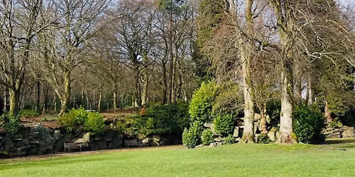 Yoga In The Park | FREE