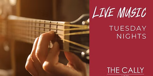 Live Music Tuesday Night - Steven Garner