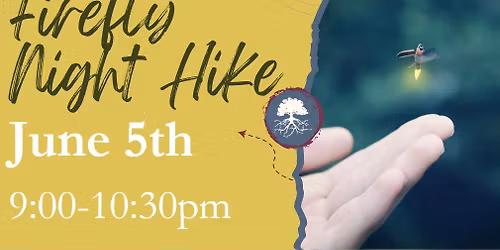 Firefly Night Hike 