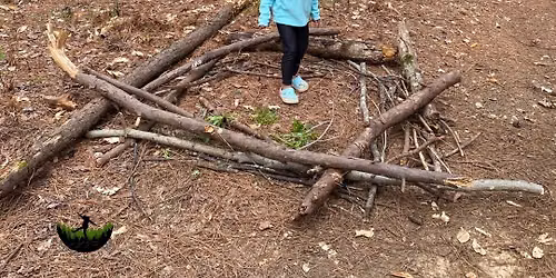 Nature Sprouts Summer Camp Week 3