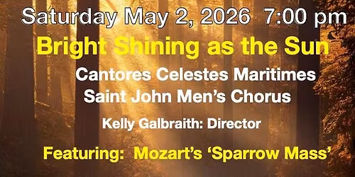 Bright Shining as the Sun