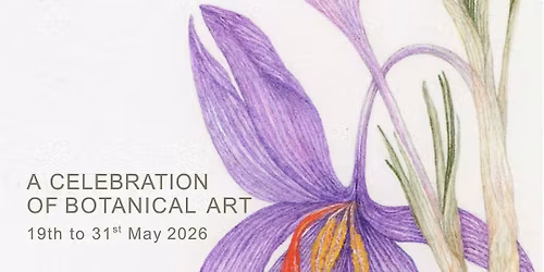 Iceni Botanical Artists - Exhibition; A Celebration of Botanical Art