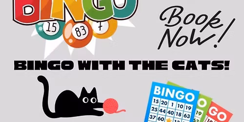 Bingo with the Cats! Book online