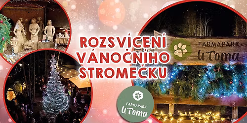 \ud83c\udf84Rozsv\u00edcen\u00ed v\u00e1no\u010dn\u00edho strome\u010dku ve Farmaparku u Toma