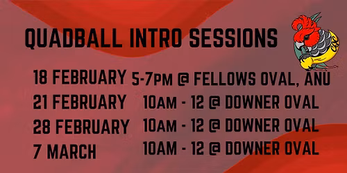 Quadball Intro Sessions