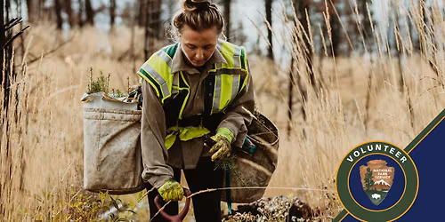 Volunteering Porter Beach Restoration