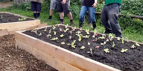 Victory Community Garden Working Bee