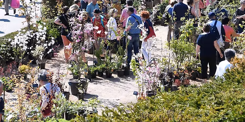 \ud83c\udf37\ud83e\udeb413e \u00c9dition Journ\u00e9es des plantes rares et Arts du jardin \ud83c\udf38 Manoir de la Garde \u00e0 Jarnioux (69)