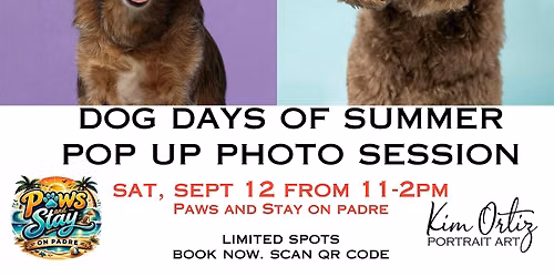 Dog Days of Summer Pop Up Mini Session at Paws and Stay on Padre