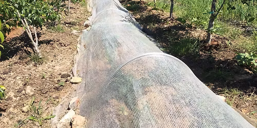 Tour of compost site in agroforestry farm, before Noir d'Iris' General Assembly