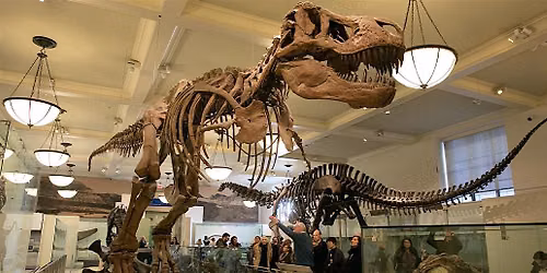Museum Of Natural History M**der Mystery & Scavenger Hunt