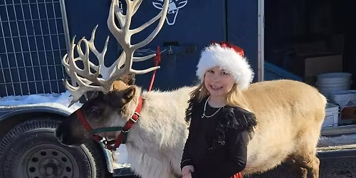 Sven & Friends Reindeer Event