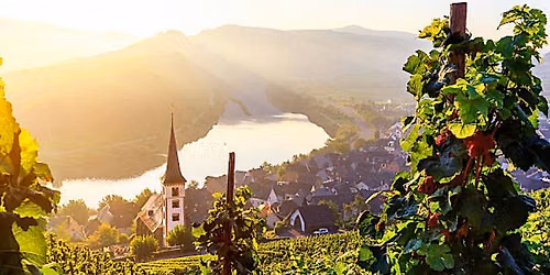 Beyond Riesling: Discovering German Wine