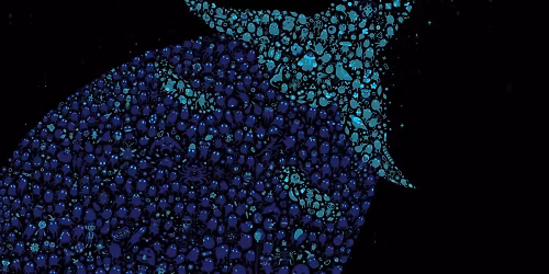 Mr. Bill, Skope, Frequent, Undulae in Denver