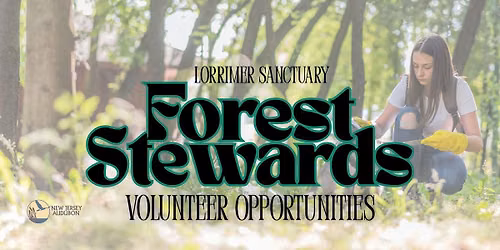 Forest Stewards:Volunteer Opportunities