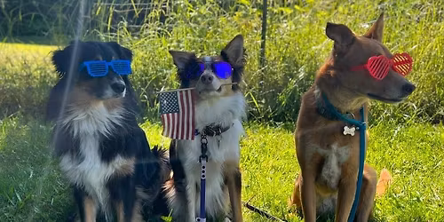 Puppy class April 18th at 2pm