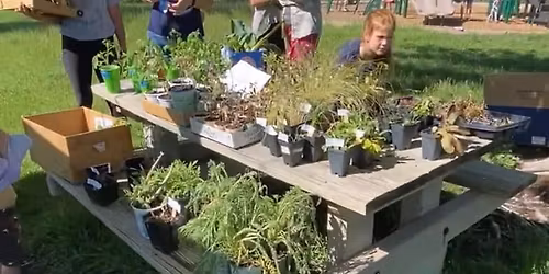 May Plant Swap
