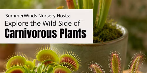 Explore the Wild Side of Carnivorous Plants - Campbell