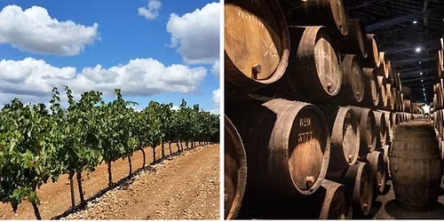 Iberian Adventure Tasting with Lunch (Harrogate)