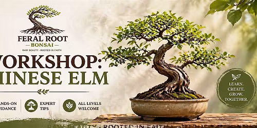 Bagels and Bonsai
