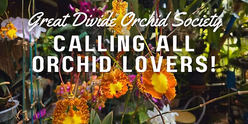Membership Drive for the Great Divide Orchid Society