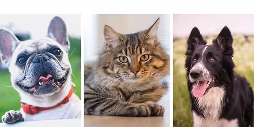 Rabies Vaccination Clinic