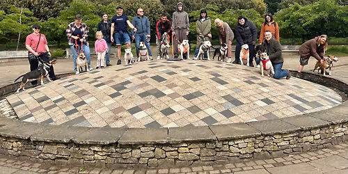 Norwich Bullie Walk