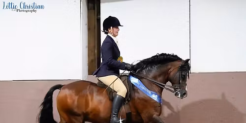 Bold Heath Winter Showing Show - Sunday November 16th