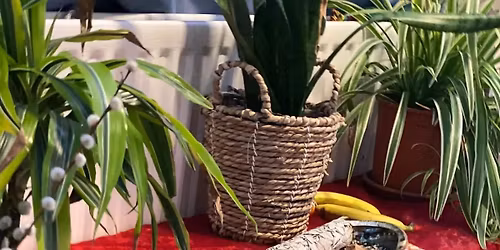 INSIDE Tree Nedra Jan 14th 2025