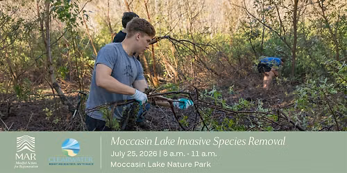 Moccasin Lake Invasive Species Removal