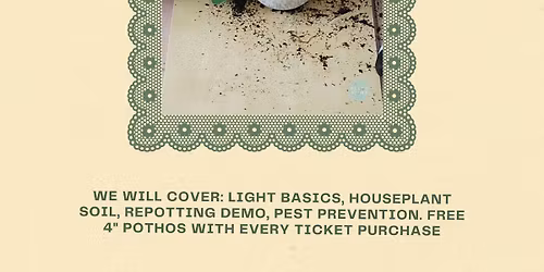 Plant Mom 101: Beginner Bootcamp 